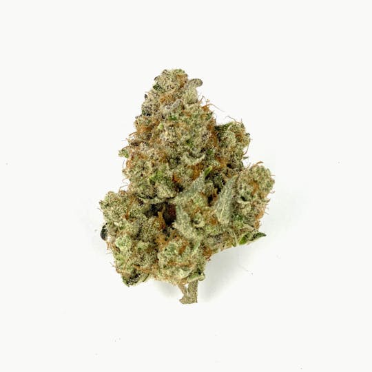Fuzzy Roots Organics - Mimosa BX - 1