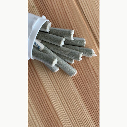 Pacific Reserve - Dragon Cake • 10-Pack Prerolls - 1