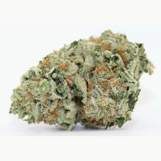 Elevation 207 - Space Candy * Special* - 1