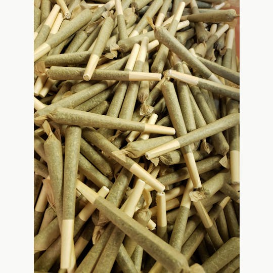 It's a Plant's Life - Its A Plants Life Preroll, Non-Infused - White Rabbit - 1