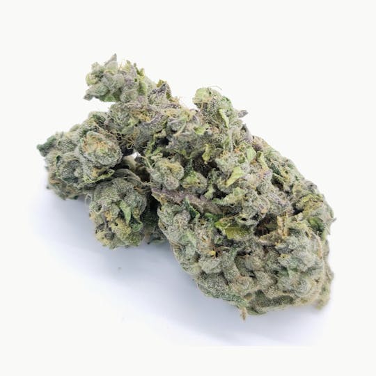 South Port Cannabis Company - DOS LECHES - SOUTH PORT CANNABIS - 1