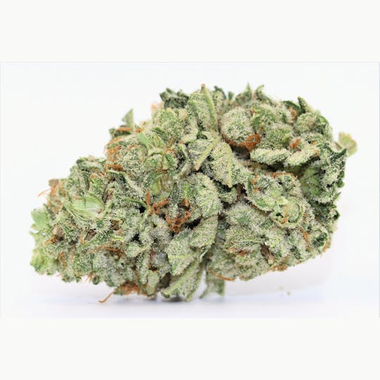 Elevation 207 - Critical Jack Herer *Special - 1