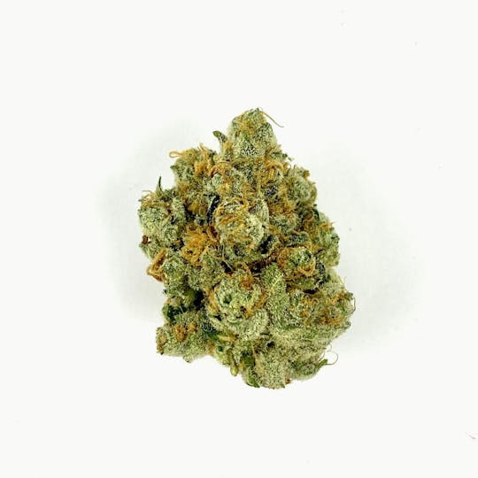 Indico - Cognac - 1