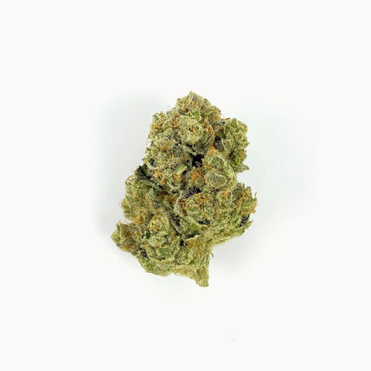 Indico - B's OG - 1