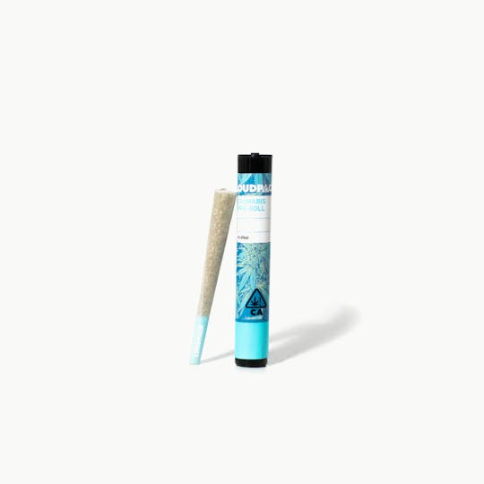 Loudpack - Loudpack | God's Gift Indica (1g) - 1