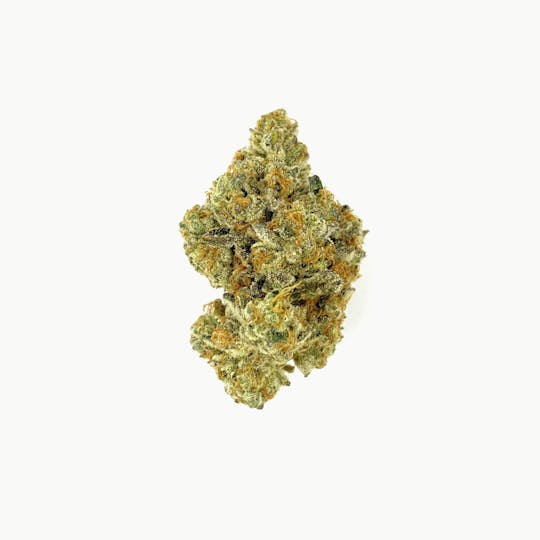 Indico - Wedding Cake - 1