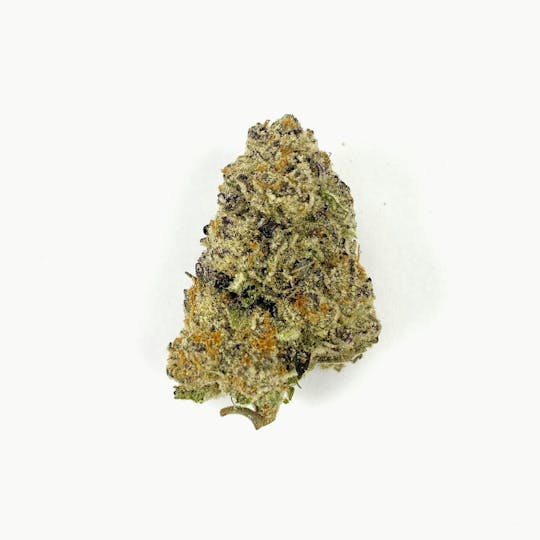 Indico - Purple Punch - 1