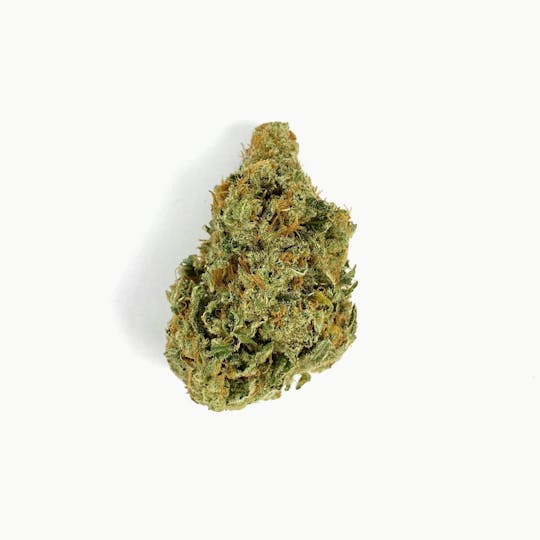 Indico - Super Lemon Haze - 1