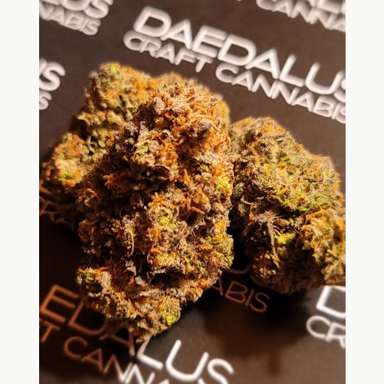 Daedalus Craft Cannabis - Double Lemon Haze - Daedalus Craft Premium Select - 1