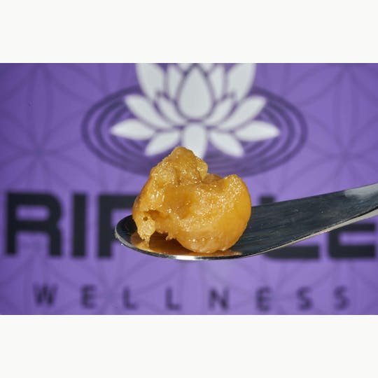 Ripple Wellness - Concentrate - Cured Badder - Citron Cookies - 1
