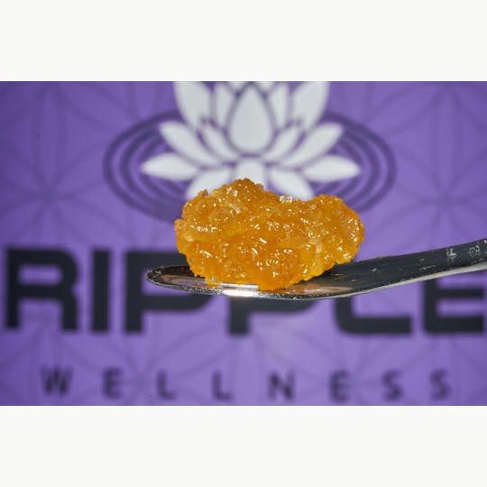 Ripple Wellness - Concentrate - Live Sugar - Mantra - 1