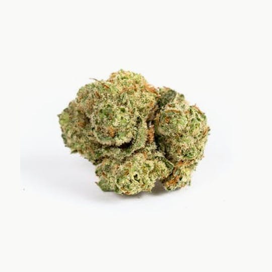 Seed & Smith Cannabis - Motor Legend - 1