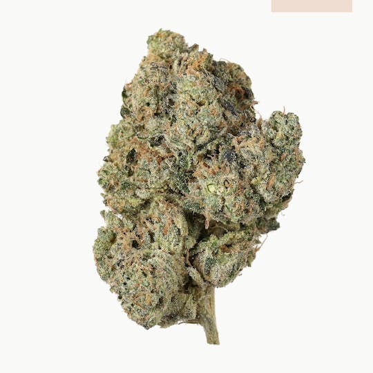 Seed & Smith Cannabis - Wintergreen OG - 1