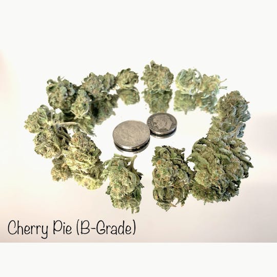 ITF - Cherry Pie (small bud special) - 1