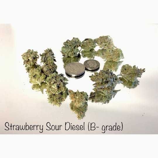 ITF - Strawberry Sour Diesel (small bud special) - 1