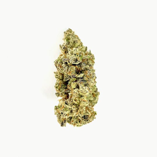 Indico - Chernobyl - 1