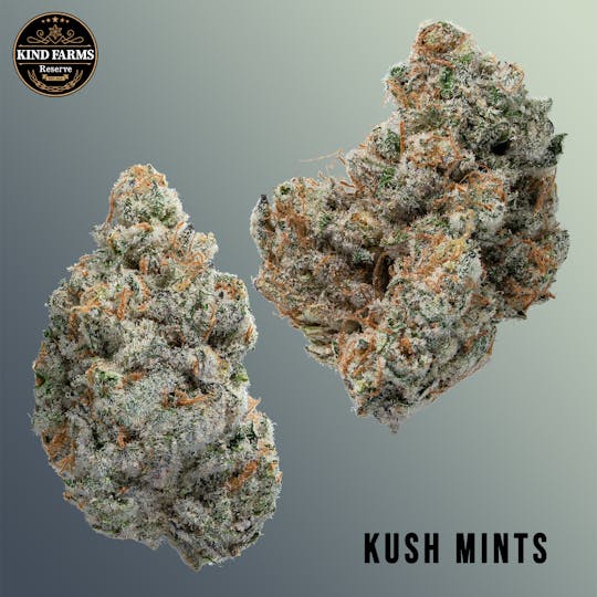 Kind Farms Reserve - Kush Mints - Kind Farms Reserve - 1