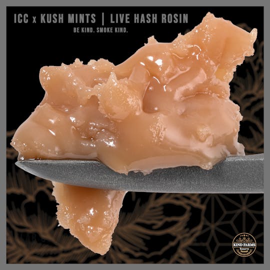 Kind Farms Reserve - Ice Cream Cake x Kush Mints Live Hash Rosin - Kind Farms Reserve - 1