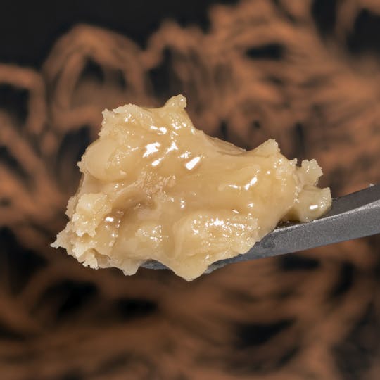 Kind Farms Reserve - Frosted Cherry Cookies Live Hash Rosin - Kind Farms Reserve - 1
