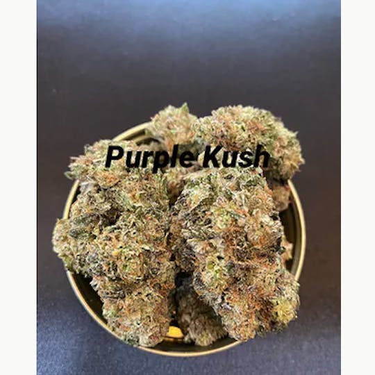 FOG Products - Purple Kush (FOG Indoor) - 1