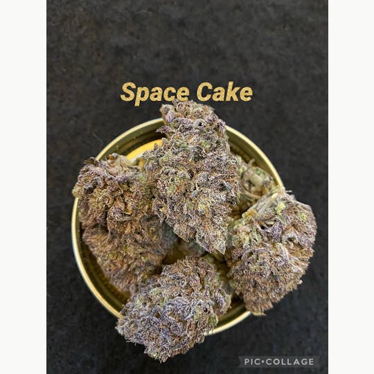 FOG Products - Space Cake (Indoor) - 1