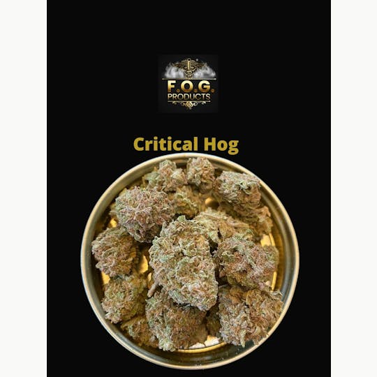 FOG Products - Critical Hog (Indica-smaller buds) - 1