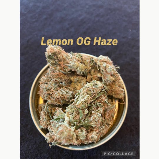 FOG Products - Lemon Og Haze (Indoor) - 1
