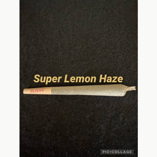 FOG Products - Super Lemon Haze preroll 1G+ - 1