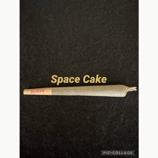 FOG Products - Space Cake indoor 1G+ - 1