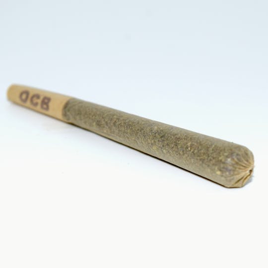 The Maine Cannagar Co - Kief Infused PreRoll - 1