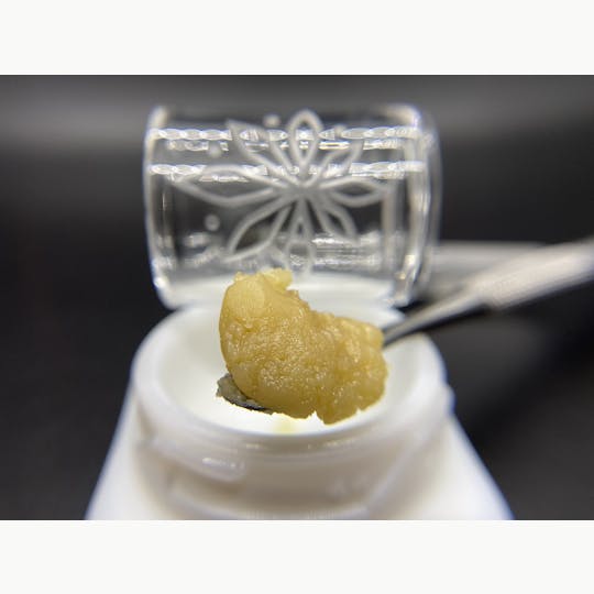Sooner Glue - Holy Grail Badder - 1