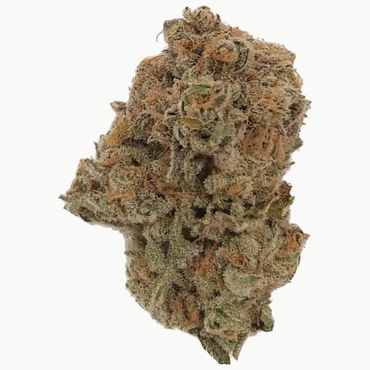Dykstra Greenhouses - Lemon Pepper Spice - 1