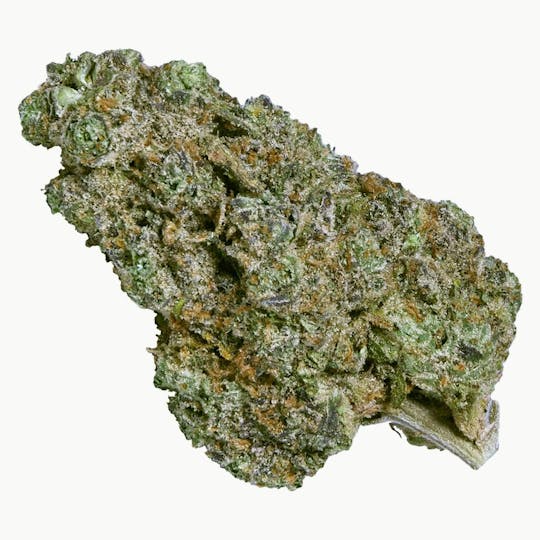 ecotone - Hero Bud - 1