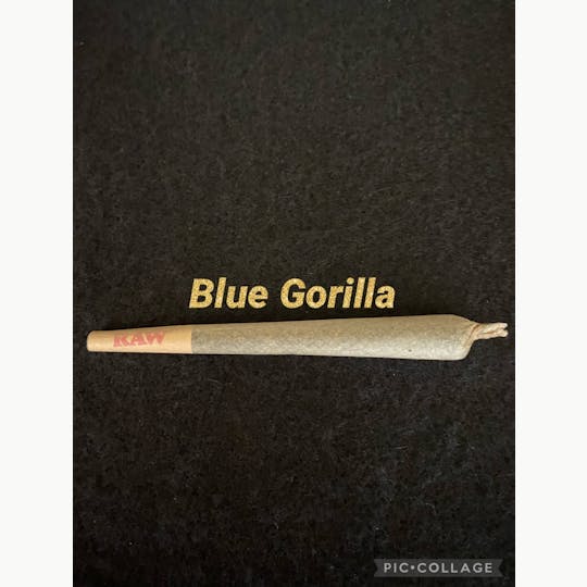 FOG Products - Blue Gorilla pre roll 1G+ - 1