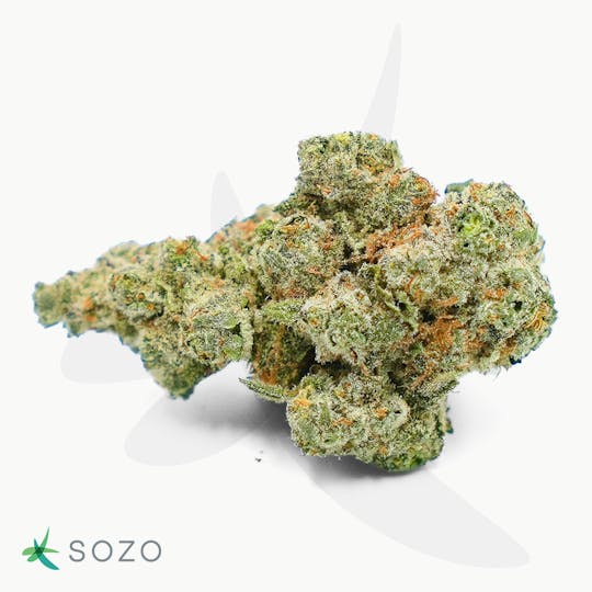 Sozo - Blueberry Headband - 1