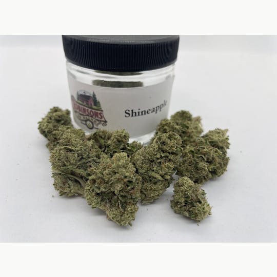 Robinsons of Maine LLC - Shineapple - 1