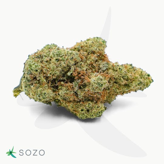 Sozo - Apricot - 1