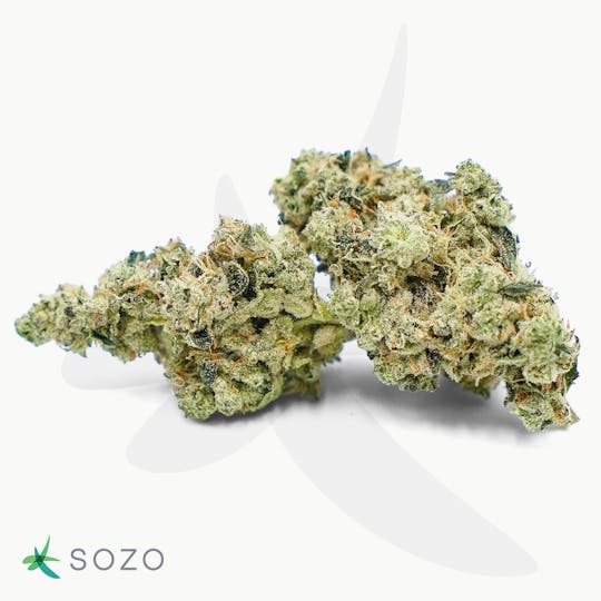Sozo - Legendary Fatso - 1