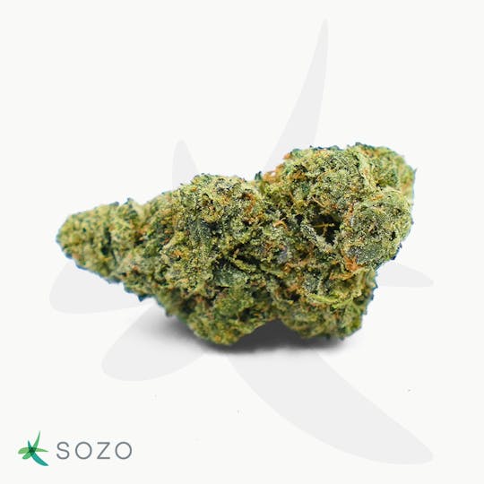 Sozo - Sunset Sherbet - 1