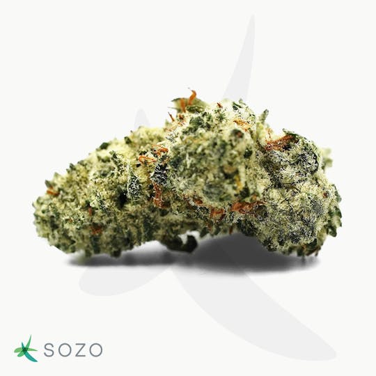 Sozo - PAC Man - 1