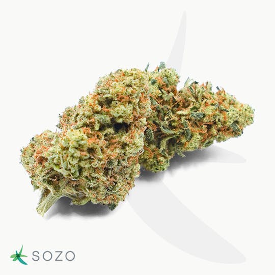 Sozo - Cherry Diesel - 1