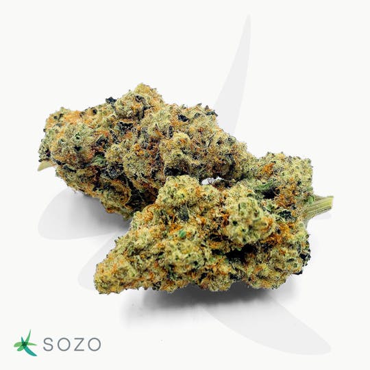 Sozo - Motor Breath - 1