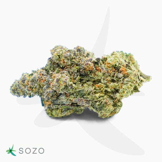 Sozo - GMO - 1