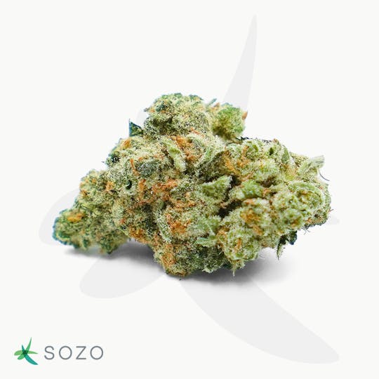Sozo - False Teeth - 1