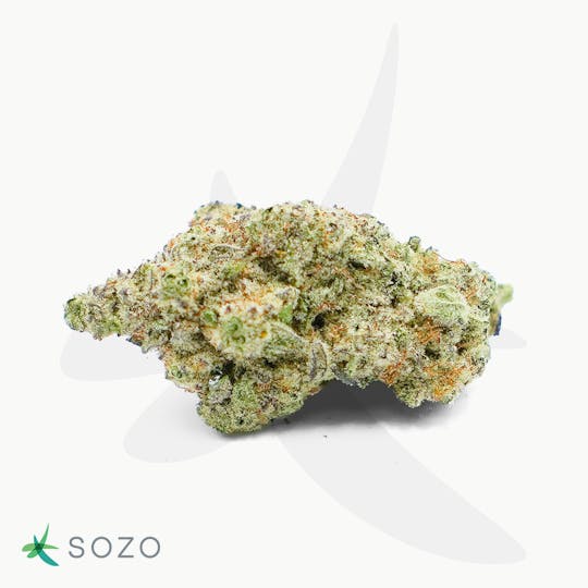 Sozo - Mac 1 - 1