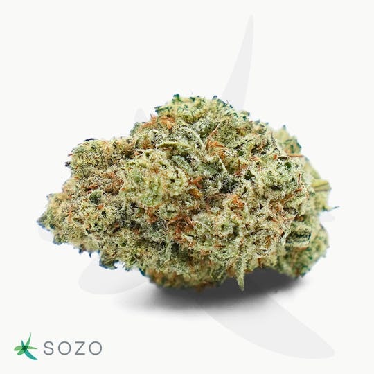 Sozo - Sour OG - 1