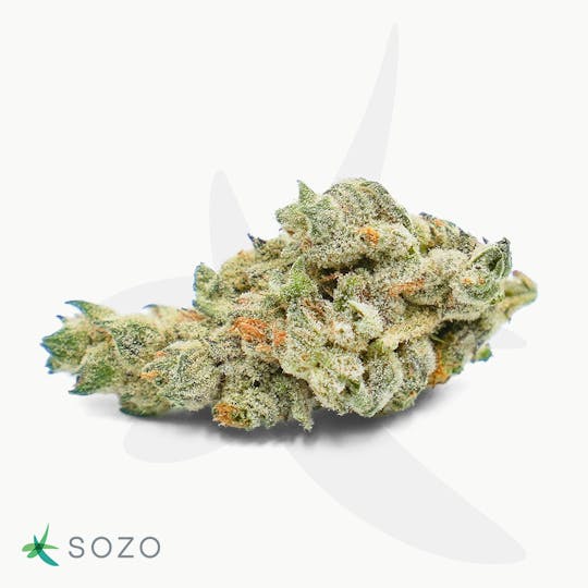 Sozo - Sundae Driver - 1