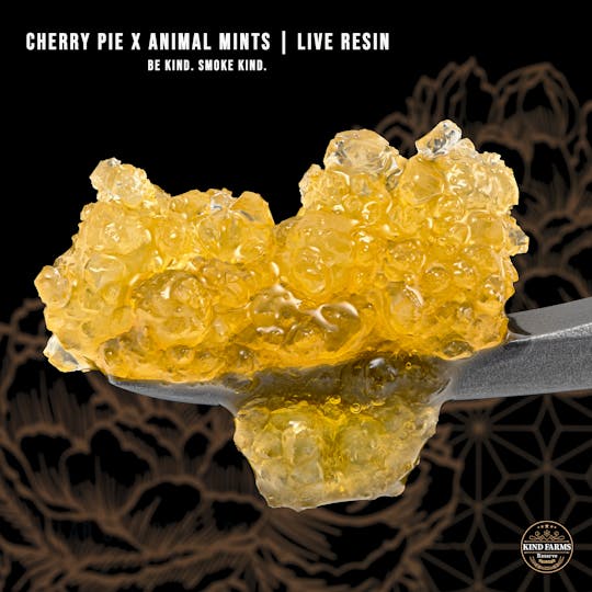 Kind Farms Reserve - Cherry Pie x Animal Mints Live Resin - Kind Farms Reserve - 1
