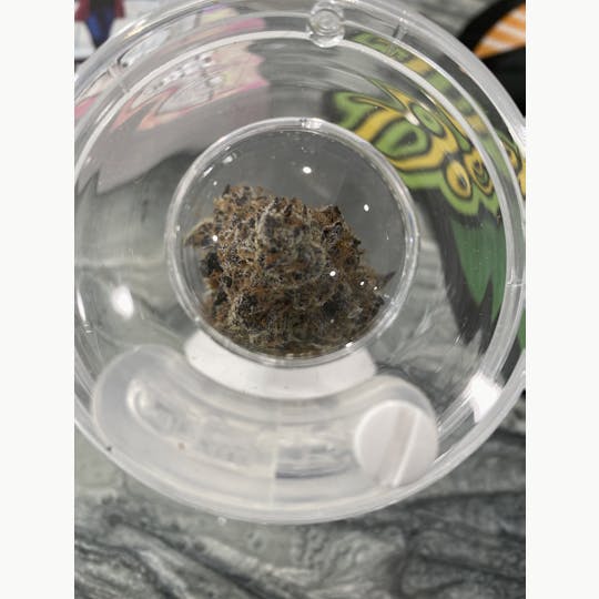 Delightful Hights - Wedding Crasher - 1