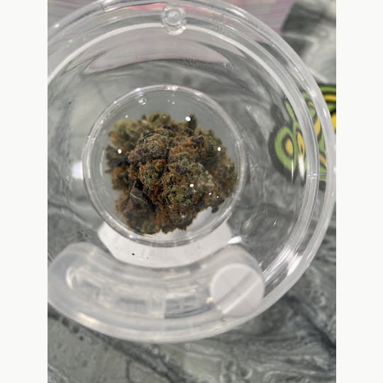 Delightful Hights - Swamp Thing - 1